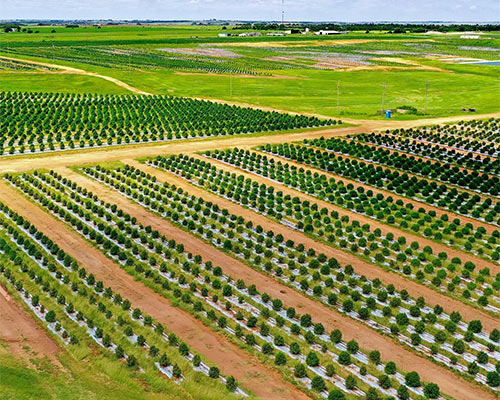 Aerial view of Primal Outdoor, one of Oklahoma’s largest legal cannabis cultivation operations