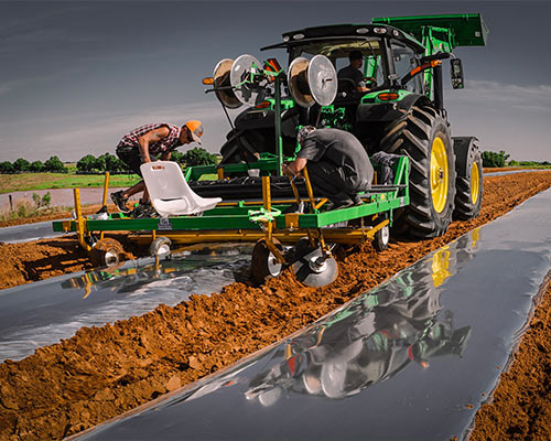 Cannabis field planting at Primal Outdoor sun-grown cultivation farm in Oklahoma